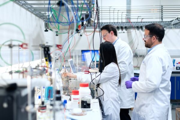 LN-CC-T75 T-75 Cell Culture Flasks