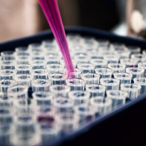 LN-PT-200 200µL Filtered Pipette Tips
