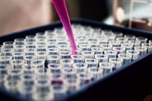 LN-PT-200 200µL Filtered Pipette Tips